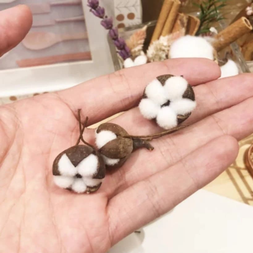 10/5 Pieces Artificial Flowers by Kapok, Natural Dry Flowers, Simulated Cotton for Wedding Decorations, Fai-da-Te Garlands, Bouquet, Gift Packs