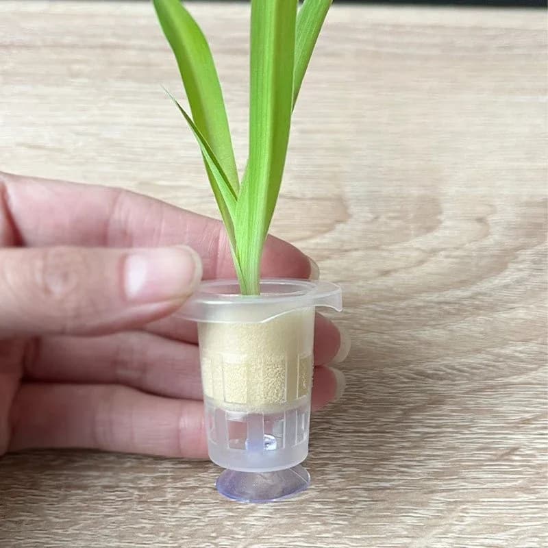 50 pz/10 pz Acquario Piantare Cestino Pianta Acquatica Tazza Idroponica Porta Pianta In Vaso Acqua Erba Acquario Accessori