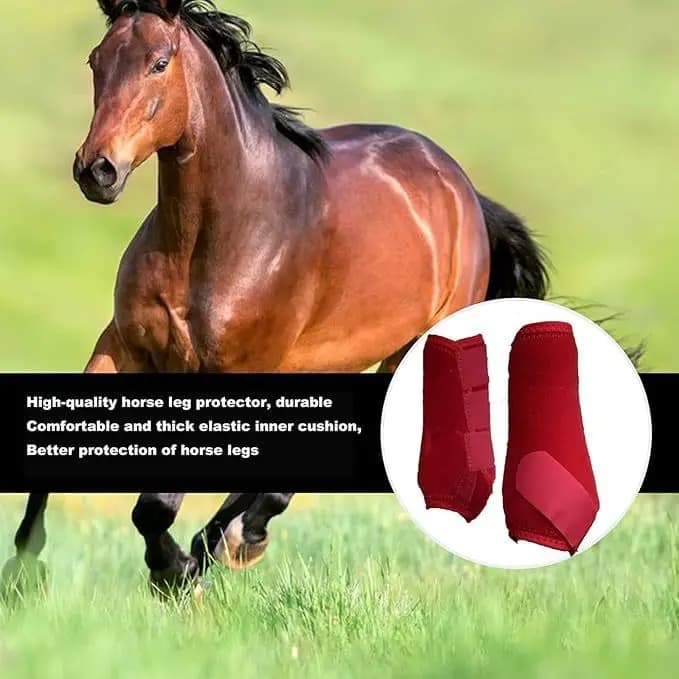 Horse Leggings Collision Avoidance Bandage Horse Legs Protective Case Protective Gear Horse Wounded Breathable Protective Case