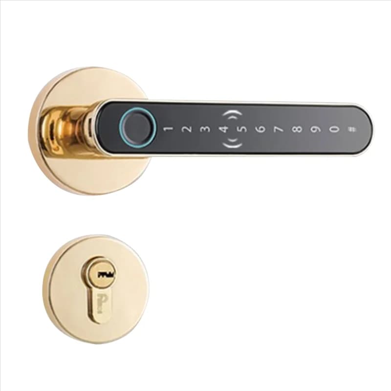 B48A Smart Split Lever Door Lock Keyless Bluetooth Fingerprint Door Lock Card Tuya APP Sicurezza Digital Door Lock
