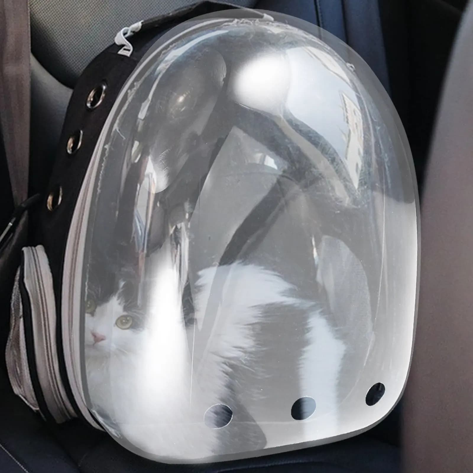 Zaino per Gatti con Finestra Trasparente a Bolle, Copertura a Cupola, Trasportino per Animali Domestici con Finestra Ventilata per Viaggi