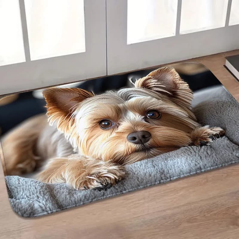 1 pezzo 660 g / ㎡ zerbino per cani carino in peluche, zerbino lavabile in lavatrice da 10 mm, morbido e bellissimo tappetino per ingresso cucina, tappetino da cucina