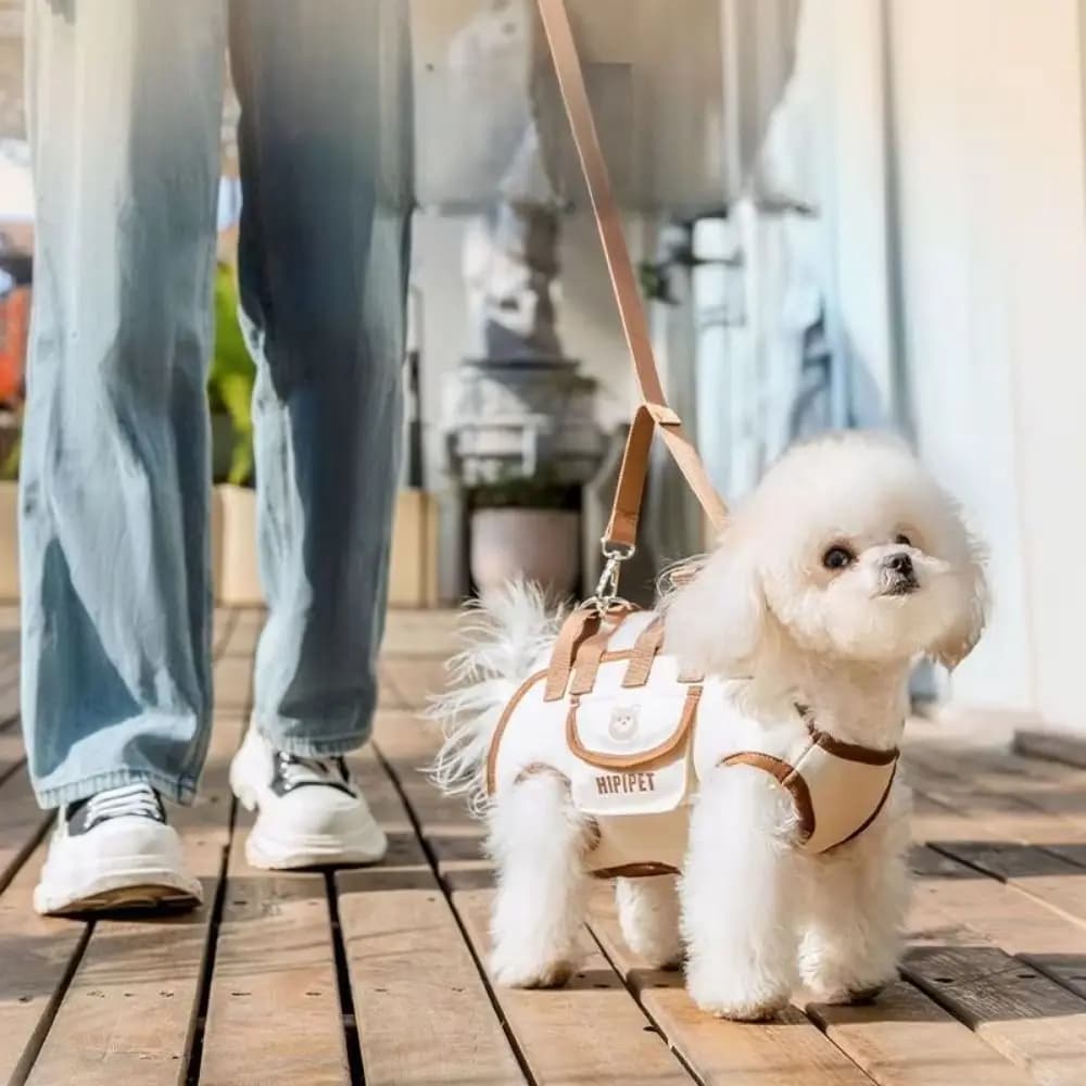 Double Shoulder Dog Carrier Backpack Breathable Adjustable Pet Strap Artifact Washable Dog Outing Bag Dog Accessories