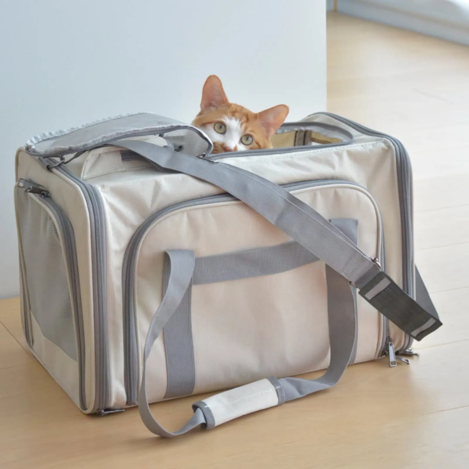Expandable Pet Carrier Airline Approved Breathable Pet Carrier Easy to Clean Self-Locking Zipper for Airplane, Car Ride
