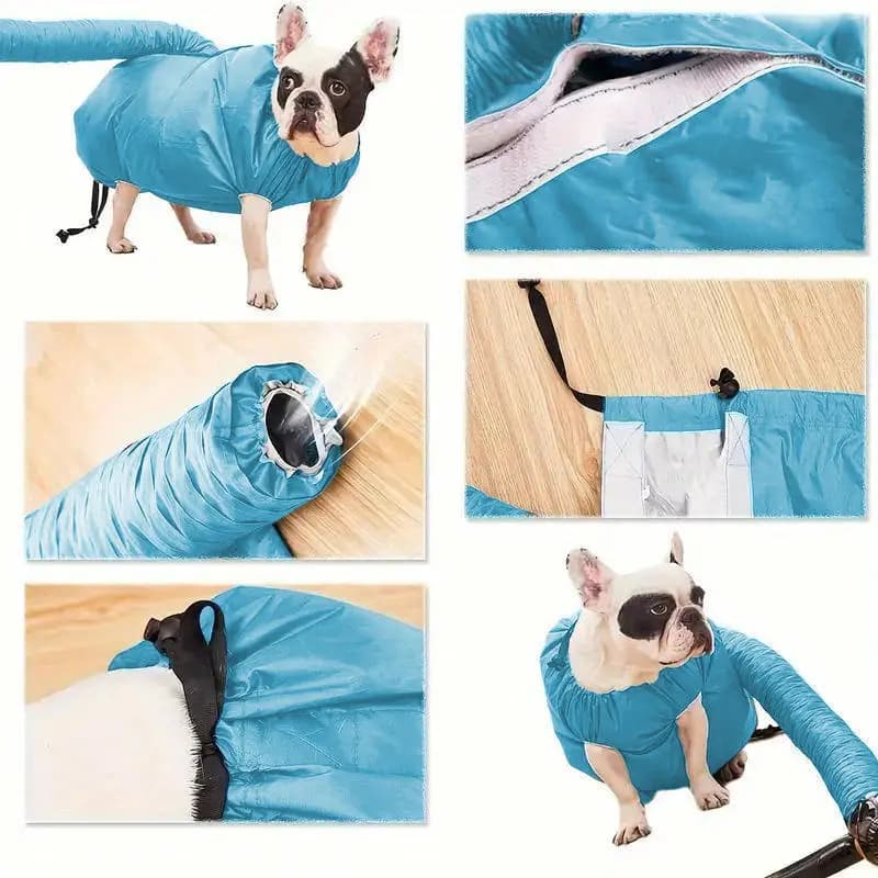 Hair Dryer for Dogs, Efficient Dryer for Domestic Animals, Portable Dryer for Dogs and Cats, Animal Cleaning Accessories in Winter