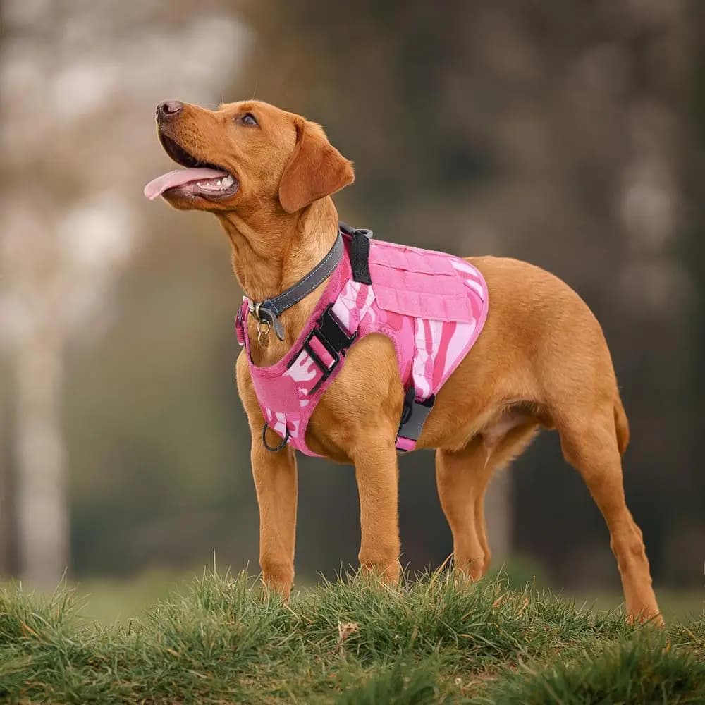 Pettorina Tattica Rosa Mimetica per Cani di Piccola, Media e Grande Taglia, Anti-Trazione, Regolabile, per Addestramento e Lavoro, Gilet per Animali Domestici Facile da Controllare