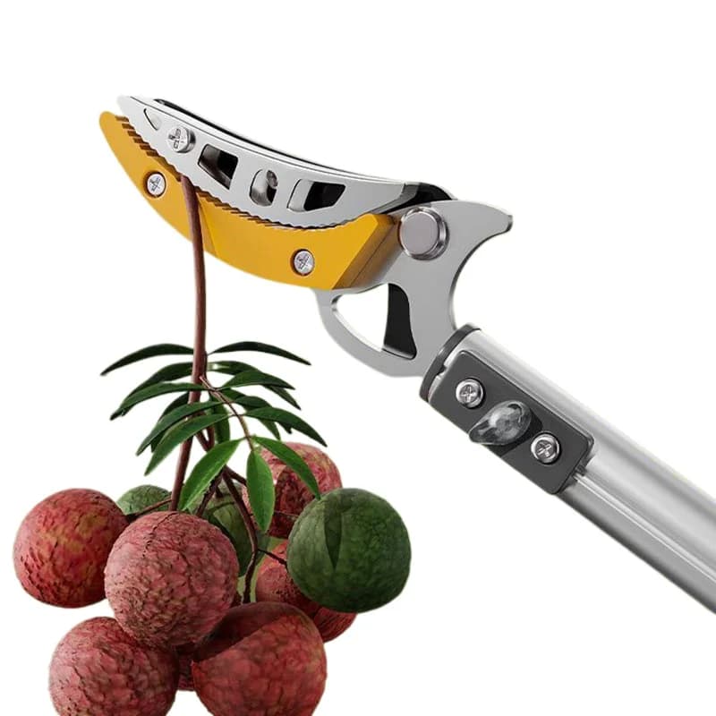 Forbici per la Raccolta di Frutta Scalabili, Attrezzo per la Raccolta di Uva, Litchi e Longan, Forbici per la Raccolta ad Alta Quota, Utensili da Giardino Portatili