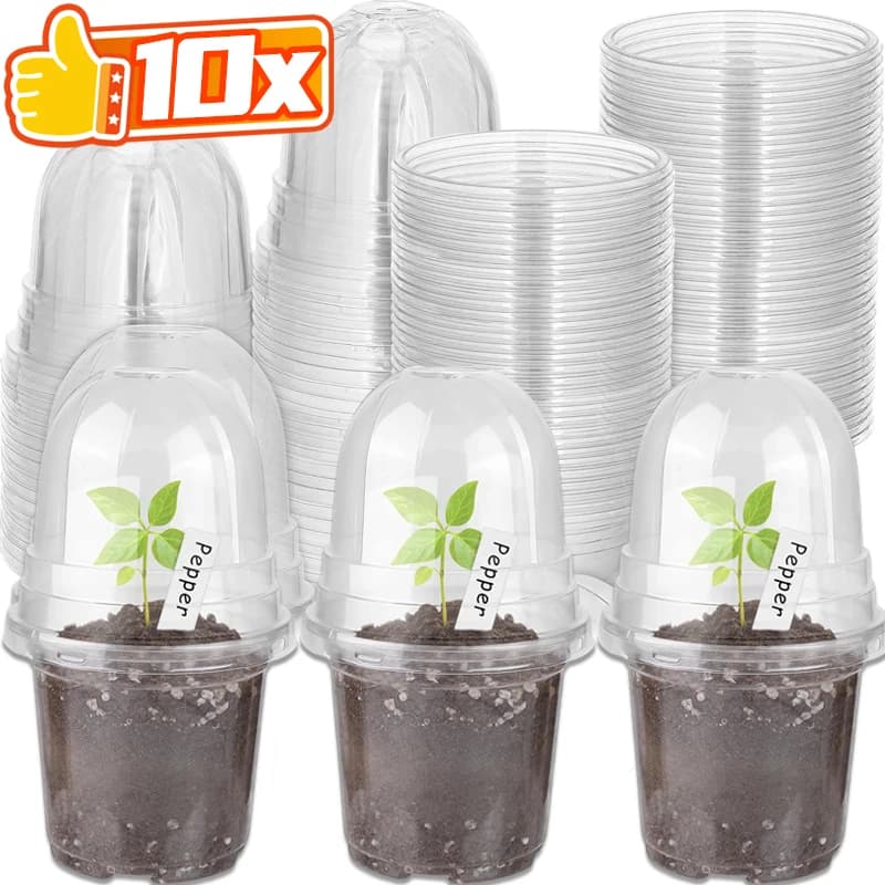 10/5pcs Plant Vivary Vases Seeds Starting Growing Nutrition Cup Flower Plant Plant Container Garden Mini Jar Flowers Tools Home Garden