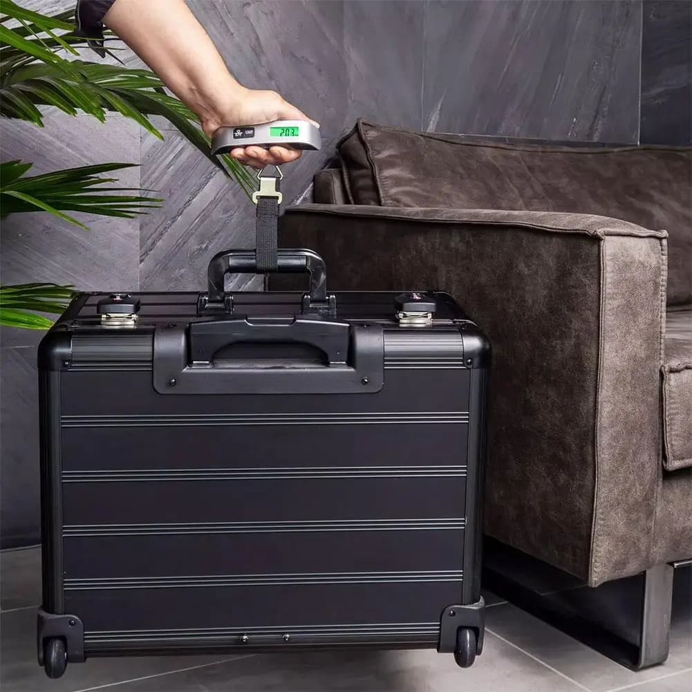 Piccola bilancia elettronica portatile che vende bilancia per bagagli per alimenti Mini bilancia portatile gancio elettronico W1P8