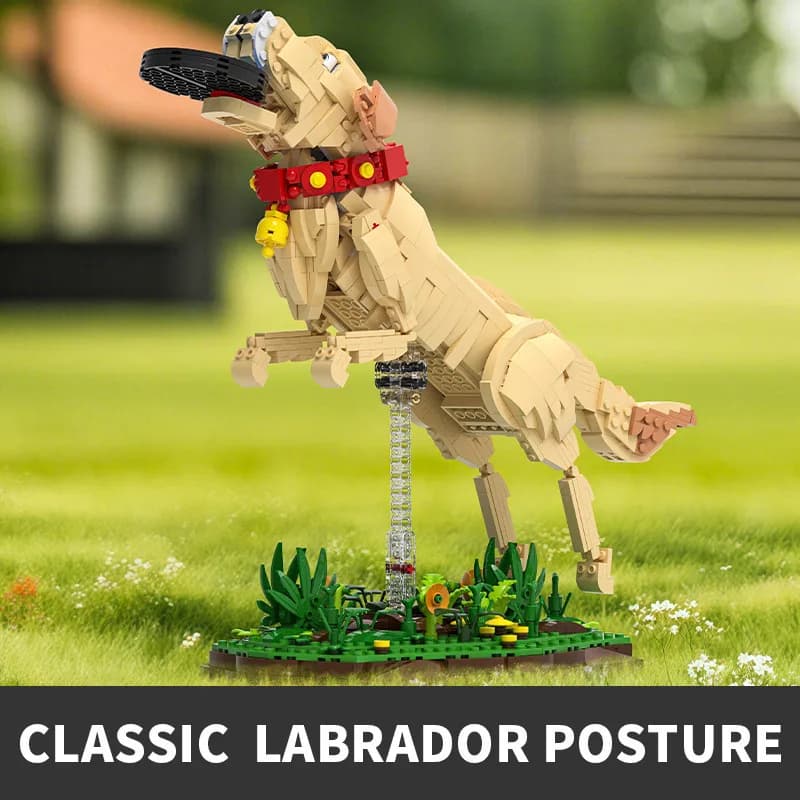 Kit di Blocchi Costruibili Modello Cane Labrador 1257 Pezzi, Posizione Giocosa con Frisbee, Regalo Decorativo per Amanti degli Animali e Bambini