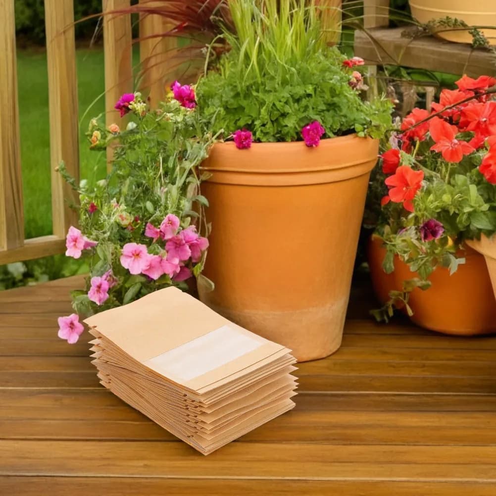 100 Small Kraft Paper Envelopes with Transparent Window Sealed for the Conservation of Seeds of Flowers and Vegetables