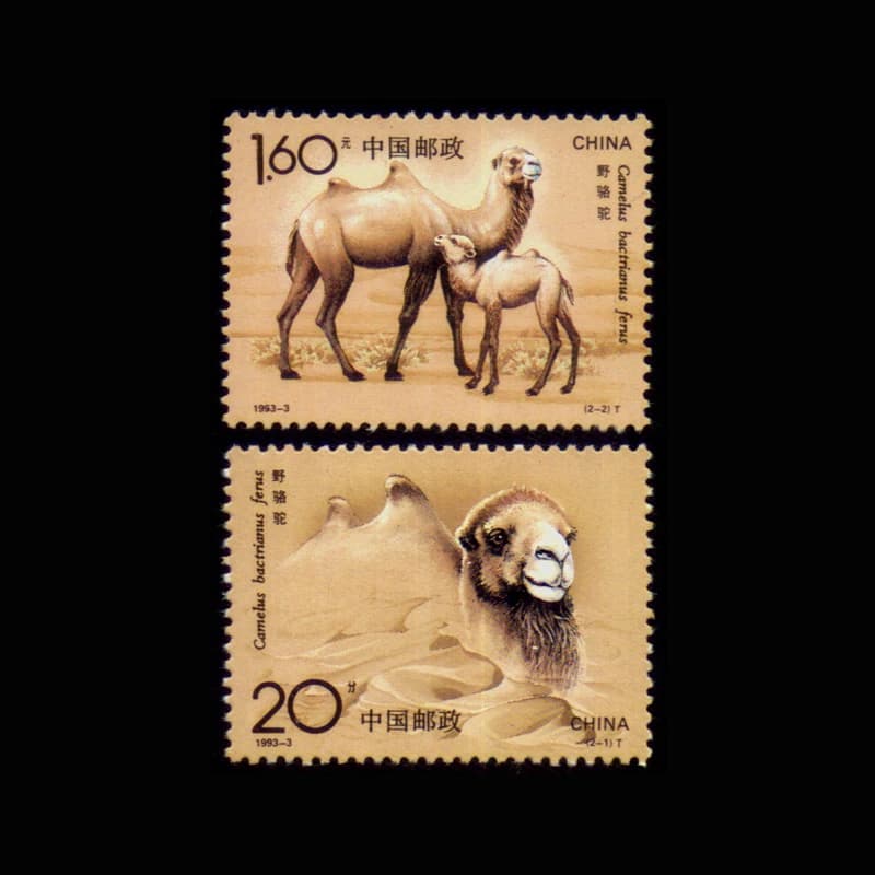 2 PCS / Set China All New 1993 Animal Wild Camel Postage Stamps For Collection
