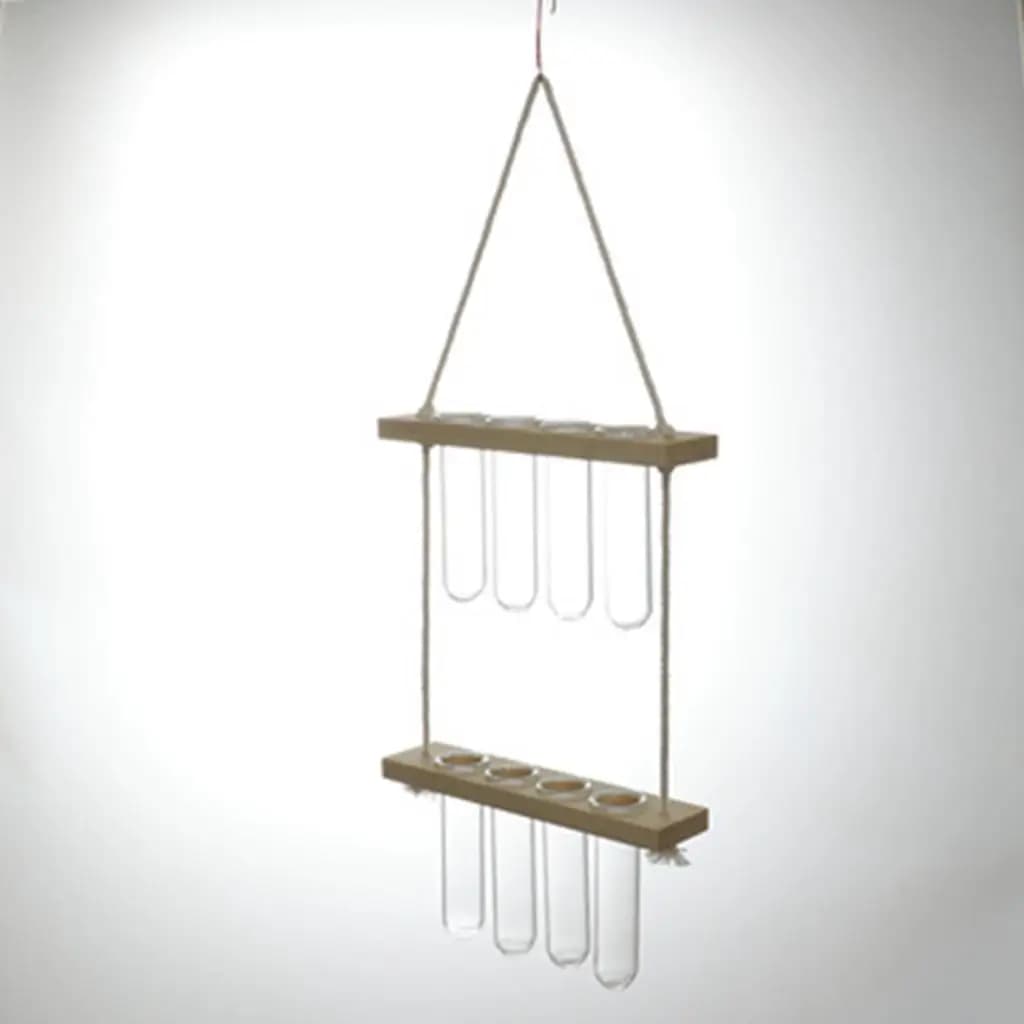 Wall Hanging Plant Vase Transparent Planter Vase Indoor Plant Terrarium Pot Interior Office