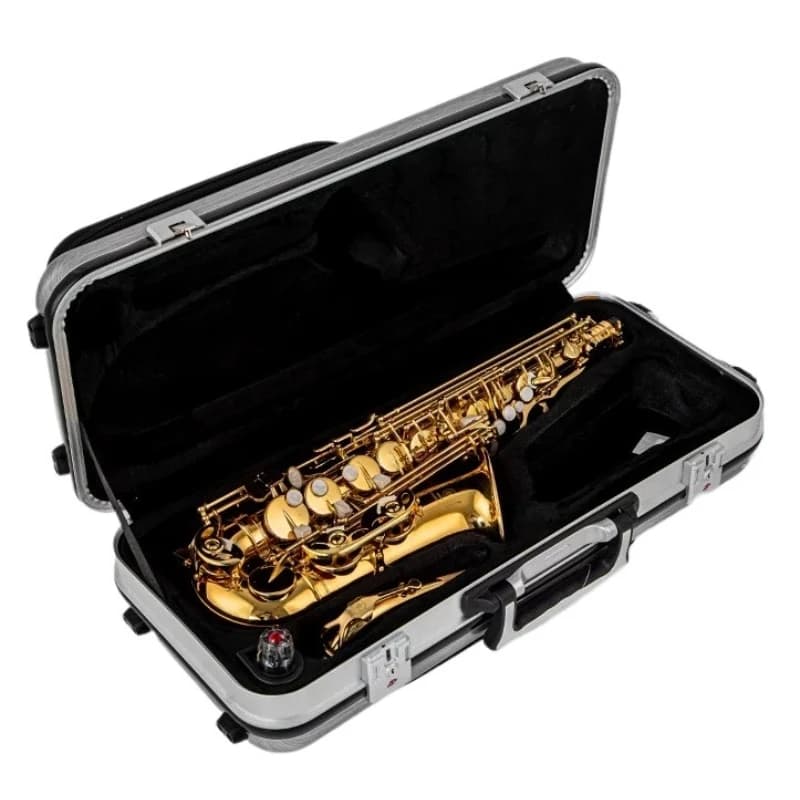 Alto/tenor/soprano Saxophone Case Portable Saxophone Storage Box Waterproof Sturdy Sax Protective Box Woodwind Instrument Bag