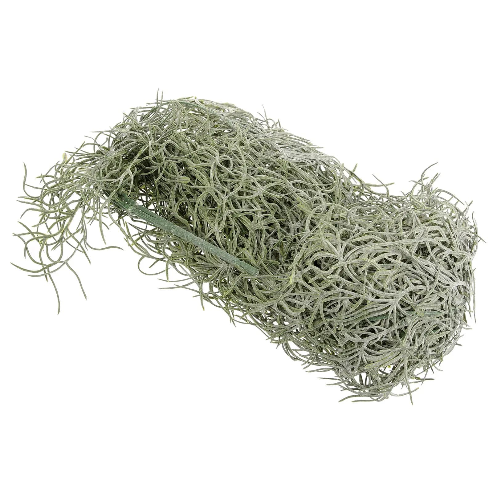 Muschio Essiccato Preservato per Decorazioni, Muschio Artificiale per Piante in Vaso, Giardini Sospesi, Terrari, Artigianato e Micro Paesaggistica
