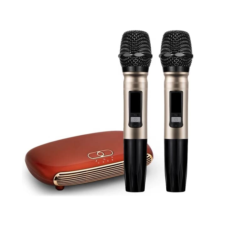 Macchina per Karaoke Domestico con 2 Microfoni Wireless, Sistema in Cinese e Inglese per Adulti, Lettori Karaoke