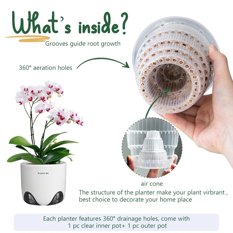 Vasi per orchidee Meshpot con fori Vaso per orchidee trasparente per ripottare vasi a doppio strato per orchidee Piante Phalaenopsis Decorazione domestica