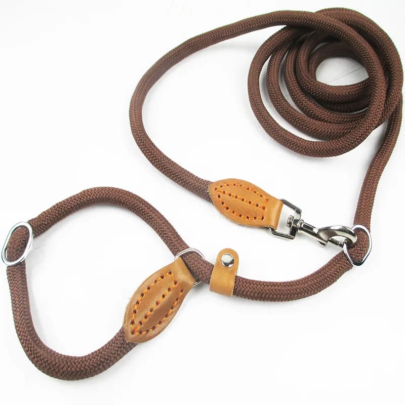 Guinzaglio multifunzionale per cani con collare a catena, guinzaglio da passeggio in nylon per cuccioli e cani di taglia piccola, media e grande.