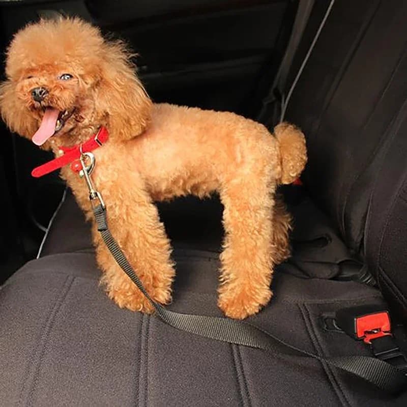 Collare per cani cintura di sicurezza per auto seggiolino per animali domestici veicolo imbracatura per cani Clip di piombo leva di sicurezza trazione collari per cani compositi in Nylon imbracatura per cani