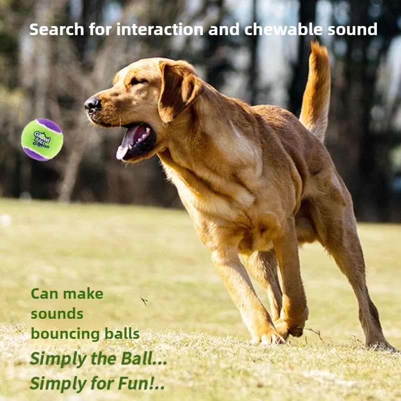 Palla di peluche per cani Suono Classico Tennis Rettifica dei denti Resistente ai morsi Cucciolo Teddy Fighting Golden Retriever Giocattoli per animali domestici Prodotti per animali domestici
