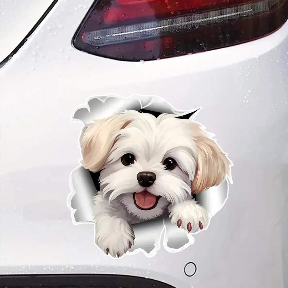 Decalcomania per sbirciare cuccioli con effetto 3D adorabile 12x12 cm - Adesivo autoadesivo in PVC per auto, laptop e pareti, adatto per angoli della stanza