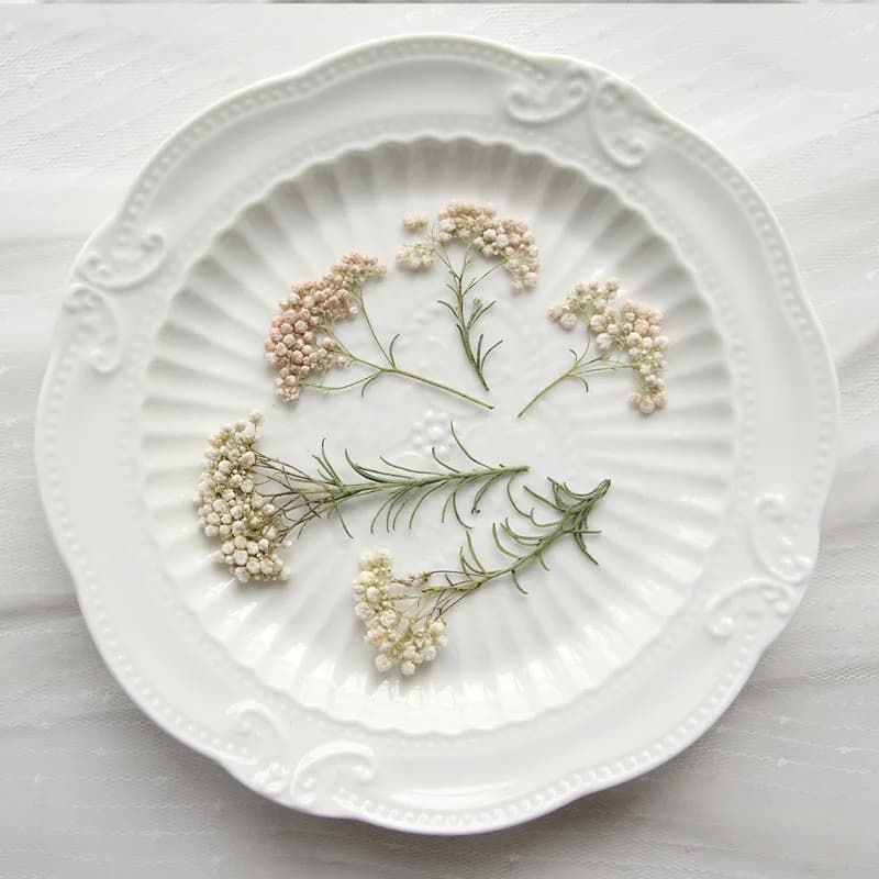 12 pezzi, rami di fiori di miglio naturale, fiori secchi pressati fai da te colla goccia custodia per cellulare pianta cornice per foto fiore segnalibro decor