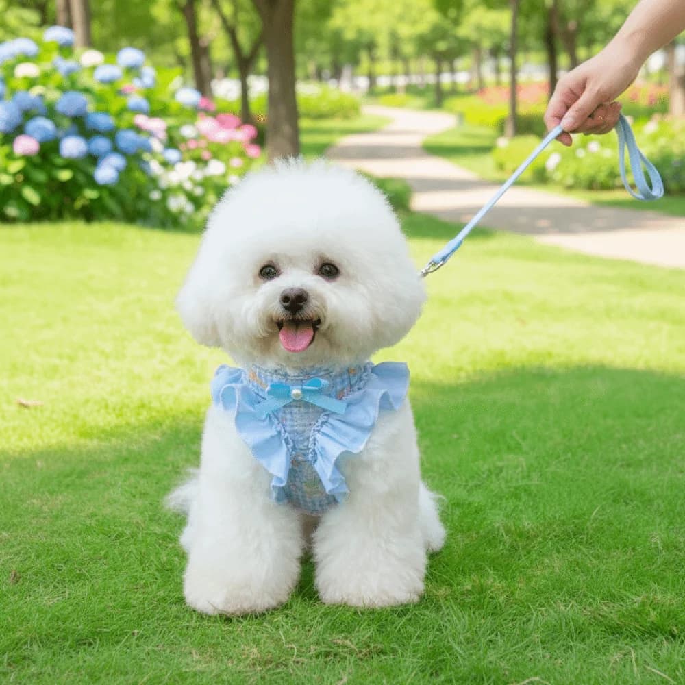 Imbracatura e Guinzaglio Regolabili per Cani, Anti-Fuga, Traspirante, con Motivo Floreale, Comoda Pettorina e Corda di Trazione per Animali Domestici