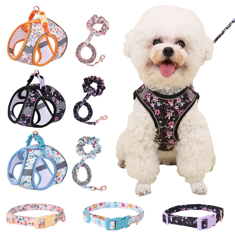 Set Pettorina e Guinzaglio per Cani Piccoli, Braccialetto Antitrazione Carino, Collare per Gatti Medi, Pettorina Morbida per Cuccioli, Accessori Regolabili per Animali Domestici