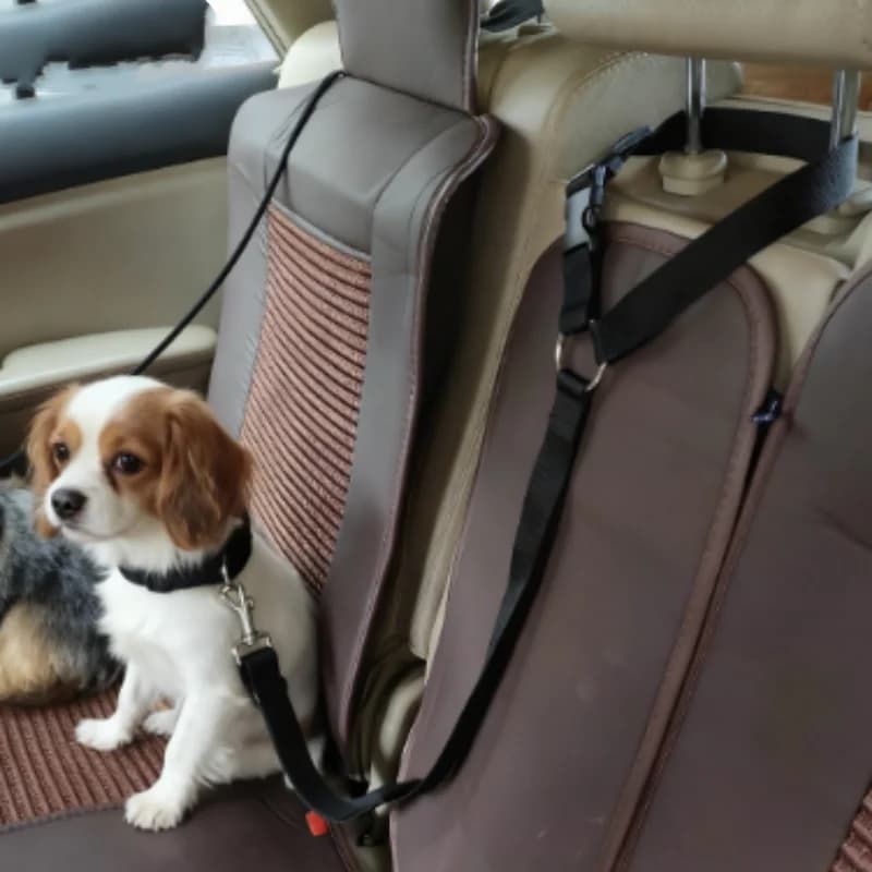 Small Dog Car Seat Belt Puppy Collar Cat Leash Harness Pet Travel Accessory Walking Collar for Dogs Pet Car Supplies