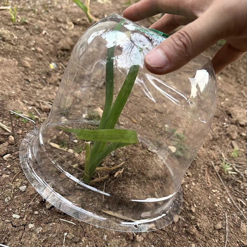 1/5PCS Flower nursery cover for seed plants Cover for bell Protecting plants Serra Garden Garden Plastic cover for vegetables