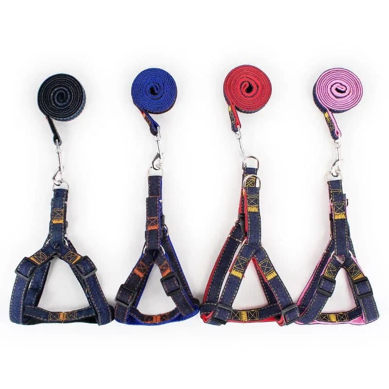 Nuovo set guinzaglio e imbracatura per animali domestici Set collare regolabile per cani Gilet di piombo per animali domestici piccolo medio grande per accessori per cani da addestramento a piedi
