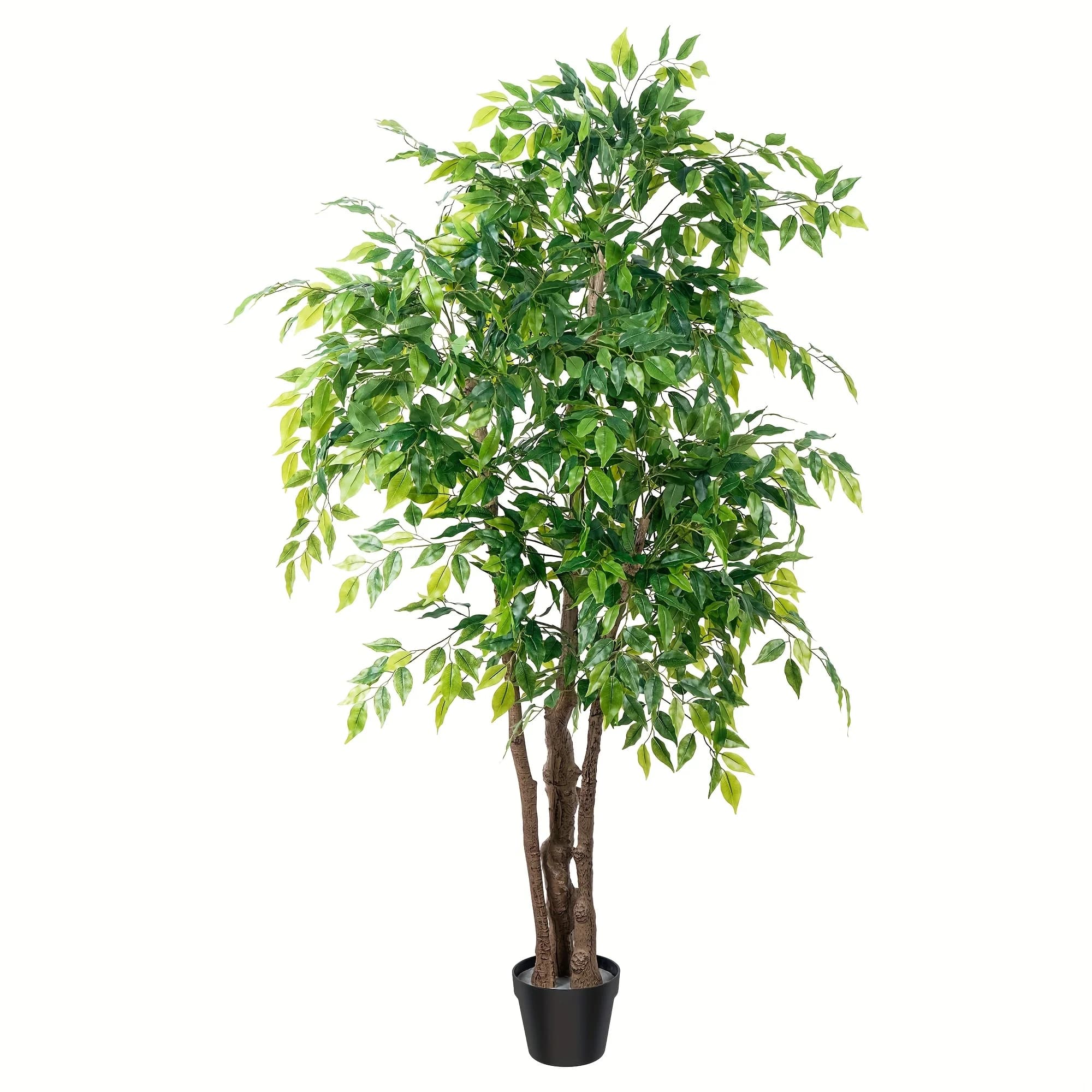 Albero di Ficus Artificiale da 1,68 m con Vasi Neri, Pianta Finta Alta in Vaso con Tronchi Tripli Spessi e Rami Regolabili
