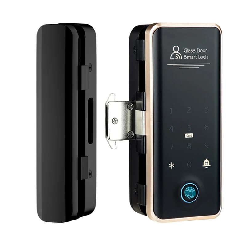 TTLOCK Sblocco remoto Smart Lock per porta in vetro Codice dinamico AutoLock Serratura digitale per impronte digitali per ufficio Hotel