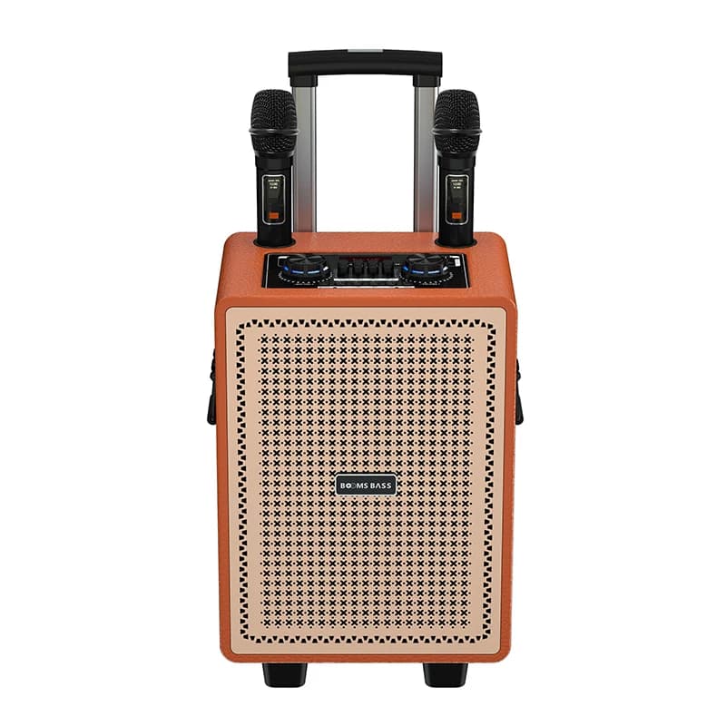 Altoparlante audio professionale da 8 pollici, altoparlante Bluetooth portatile per esterni, ideale per riunioni e feste all'aperto con un suono potente.