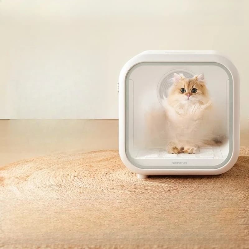 Scatola per asciugare animali domestici, asciugacapelli automatico per gatti, asciugatura dei peli del bagno domestico