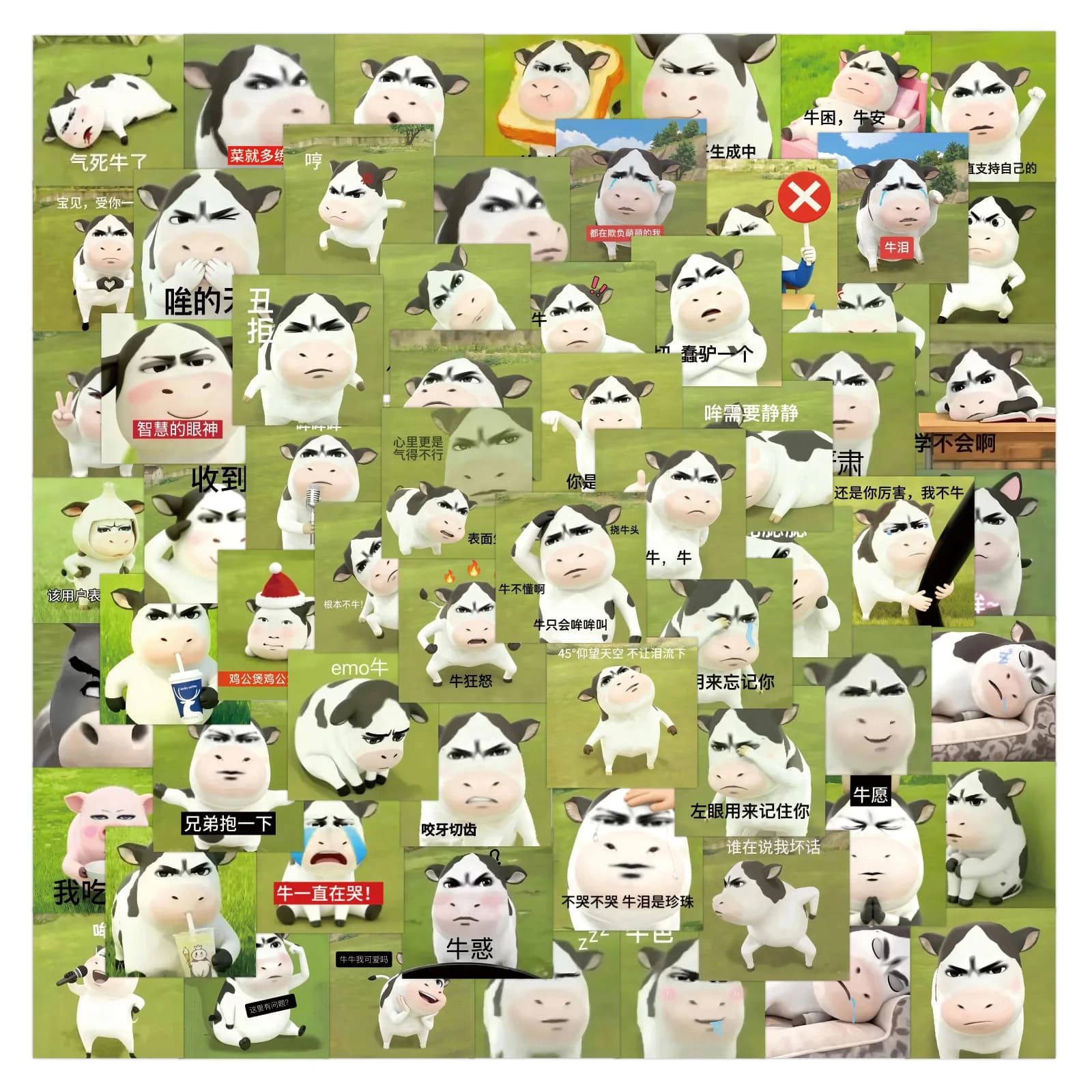 80 Pezzi Adesivi Divertenti con Meme di Mucche Cartoon, Decorazioni Creative per Bicchieri, Scatole di Cancelleria, Cover per Cellulari, Laptop