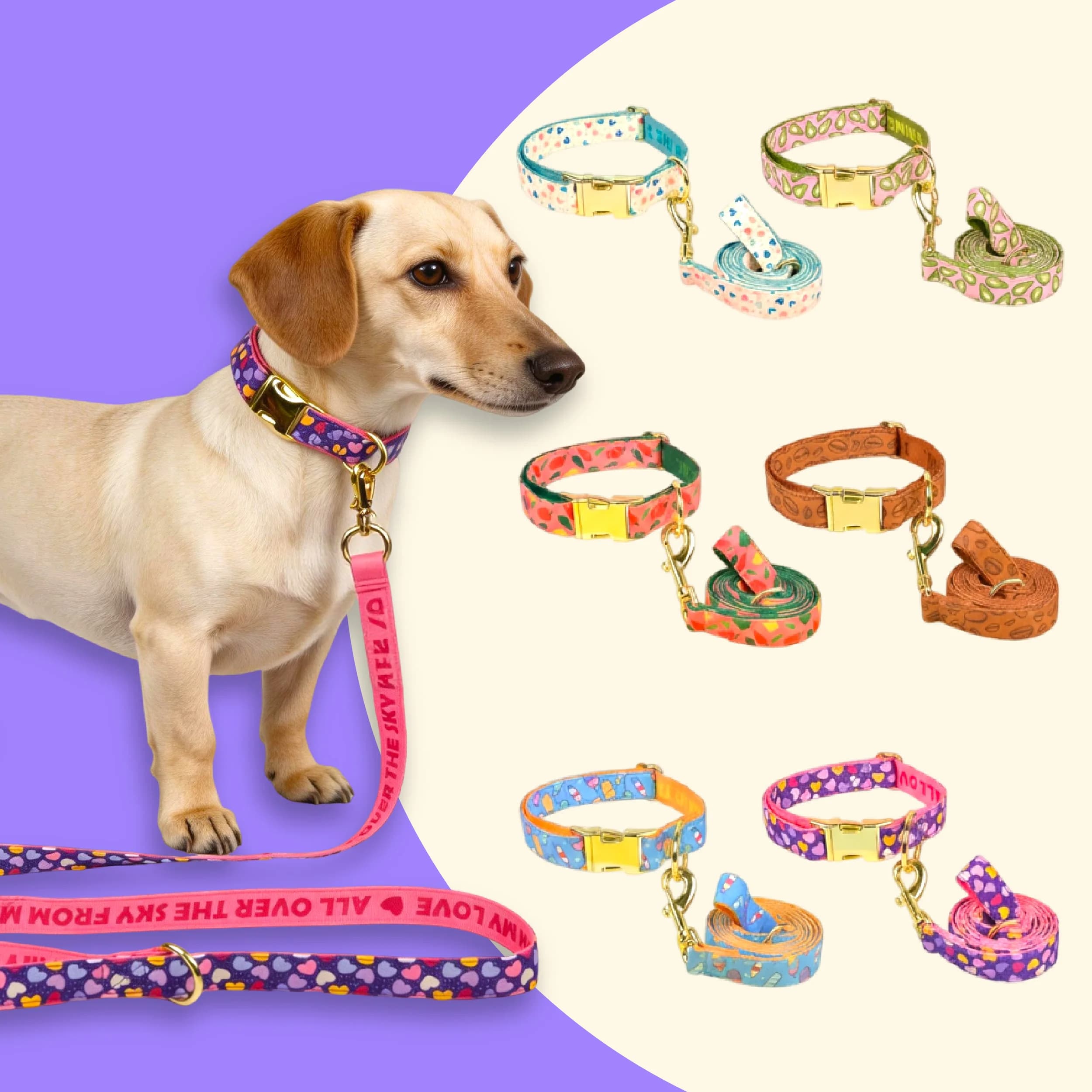 Set Collare e Guinzaglio Regolabili per Cani, Colorati Estivi, Adatti per Cani di Taglia Piccola, Media e Grande