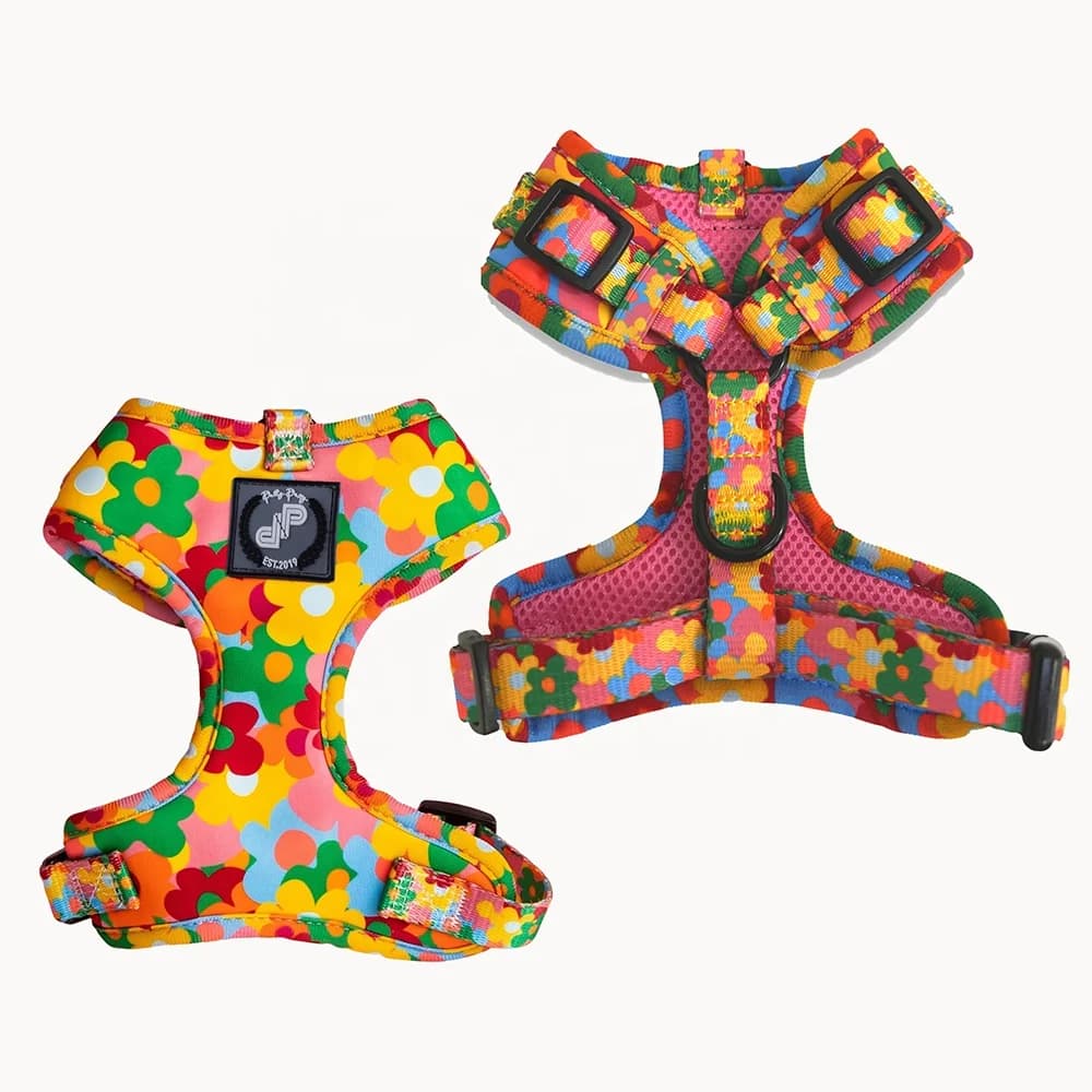 Forniture per animali personalizzate Nuovo set di pettorine per cani di design Accessori di lusso Pour Chien Altri collari, guinzagli e imbracature per animali domestici