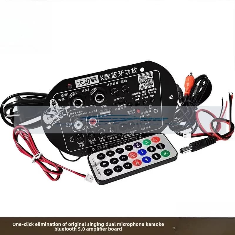 Scheda amplificatore di potenza Bluetooth 5.0 Yuanchang con doppio microfono per karaoke e taglio audio a un clic, 12V/24V/220V, per subwoofer ad alta potenza
