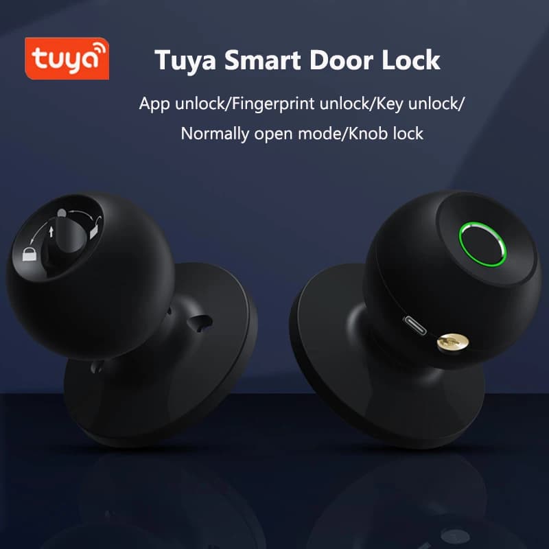 Porta con serratura intelligente con Bluetooth Tuya Smart Life Prodotti Blocco impronte digitali Chiave Sblocco Porta di sicurezza Ingresso Casa Casa Appartamento