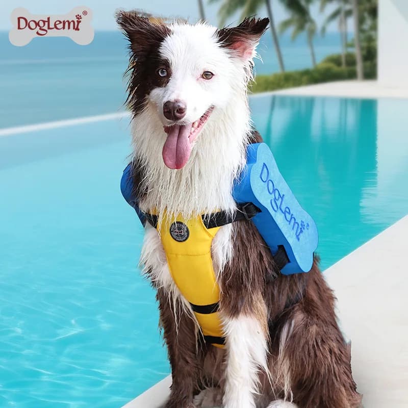 Imbracature per gilet di salvataggio per nuoto per cani estivi 2 in 1 Imbracature per cani regolabili Salvavita per nuoto Cintura toracica Imbracature per gilet da passeggio