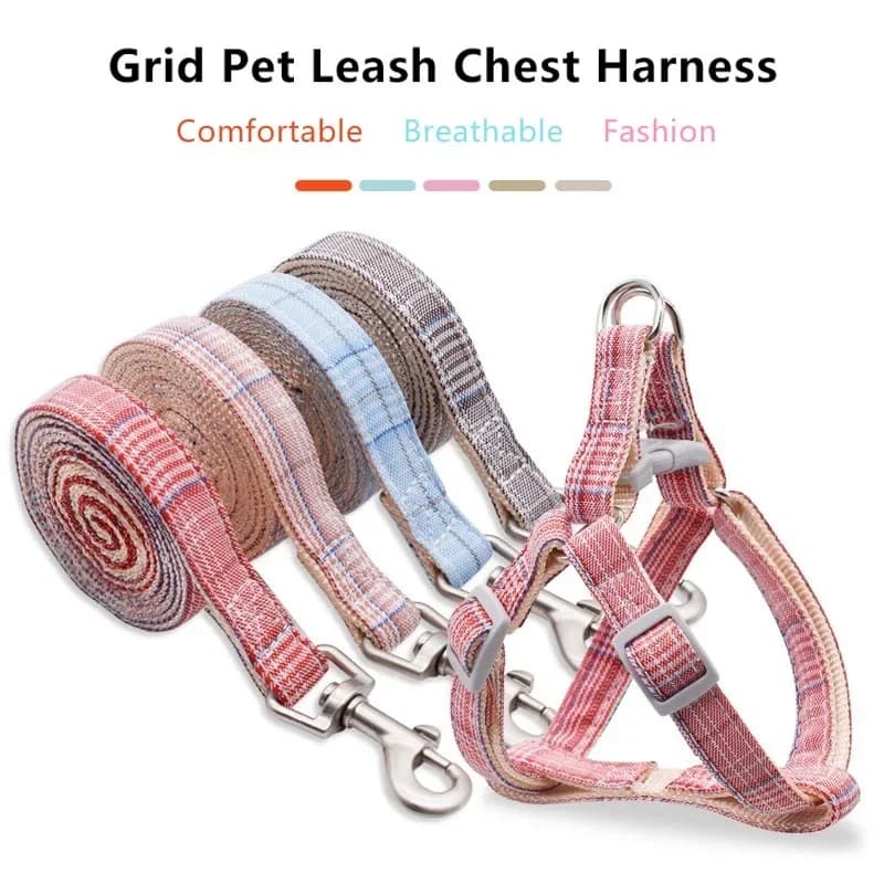 Set di guinzagli per imbracatura stile gilet a reticolo per cani da compagnia, cinghia posteriore regolabile sul petto con corda di trazione, fornitura per cani da compagnia all'aperto
