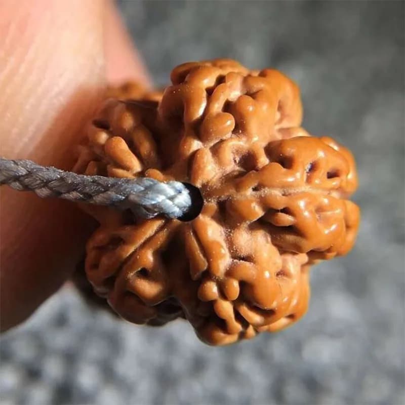 Bodhi Seed Emperor Cerchio singolo 5 petali Piccolo fiore Re 108 Perline Collana con bracciale prugna a nido d'ape