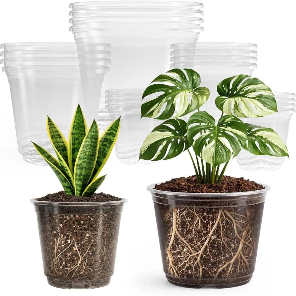 Pack of 20 Large Transparent Vases from 8/6/5/4/3,5 Inches with Drainage for Propagation Plants, Germination Seeds and Steaks of Root