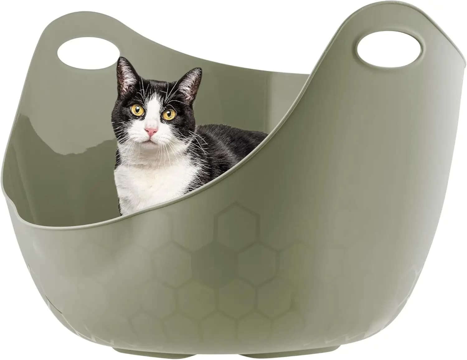 Lettiera per gatti con pareti alte e maniglie, realizzata in plastica flessibile, verde salvia