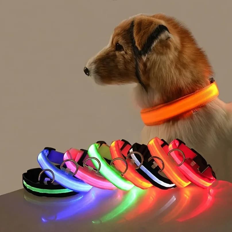 Set guinzaglio e collare luminoso a LED in nylon per cani, sicurezza notturna, lampeggiante, fluorescente, guinzaglio per cani da passeggio, anti-smarrimento notturno