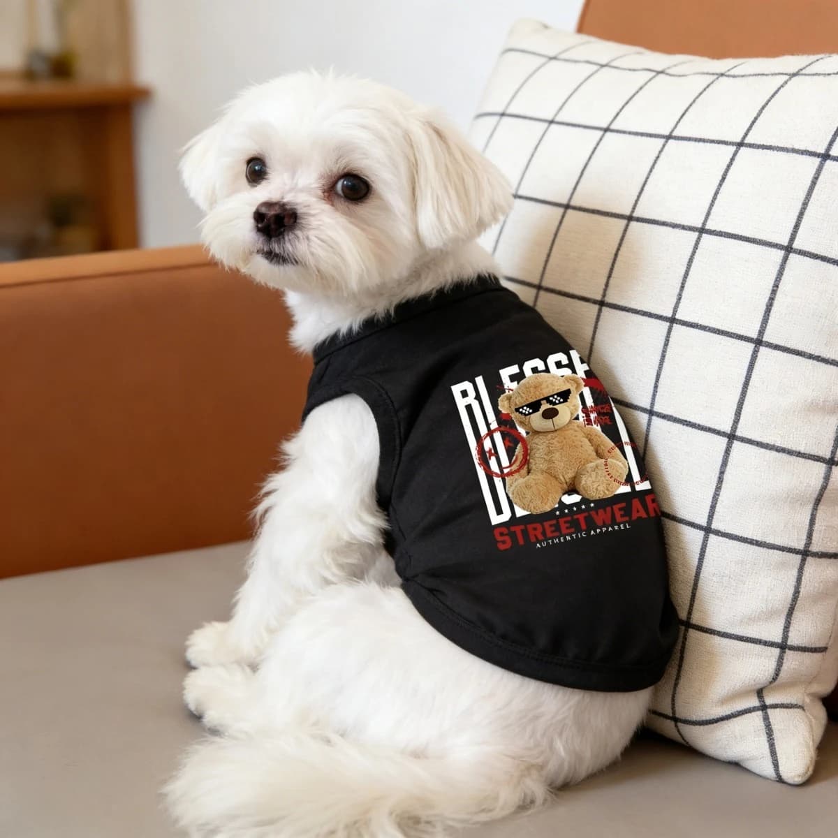 1 pz Gilet Nero alla Moda con Occhiali da Sole per Cani, Abbigliamento Traspirante per Animali Domestici per Primavera ed Estate