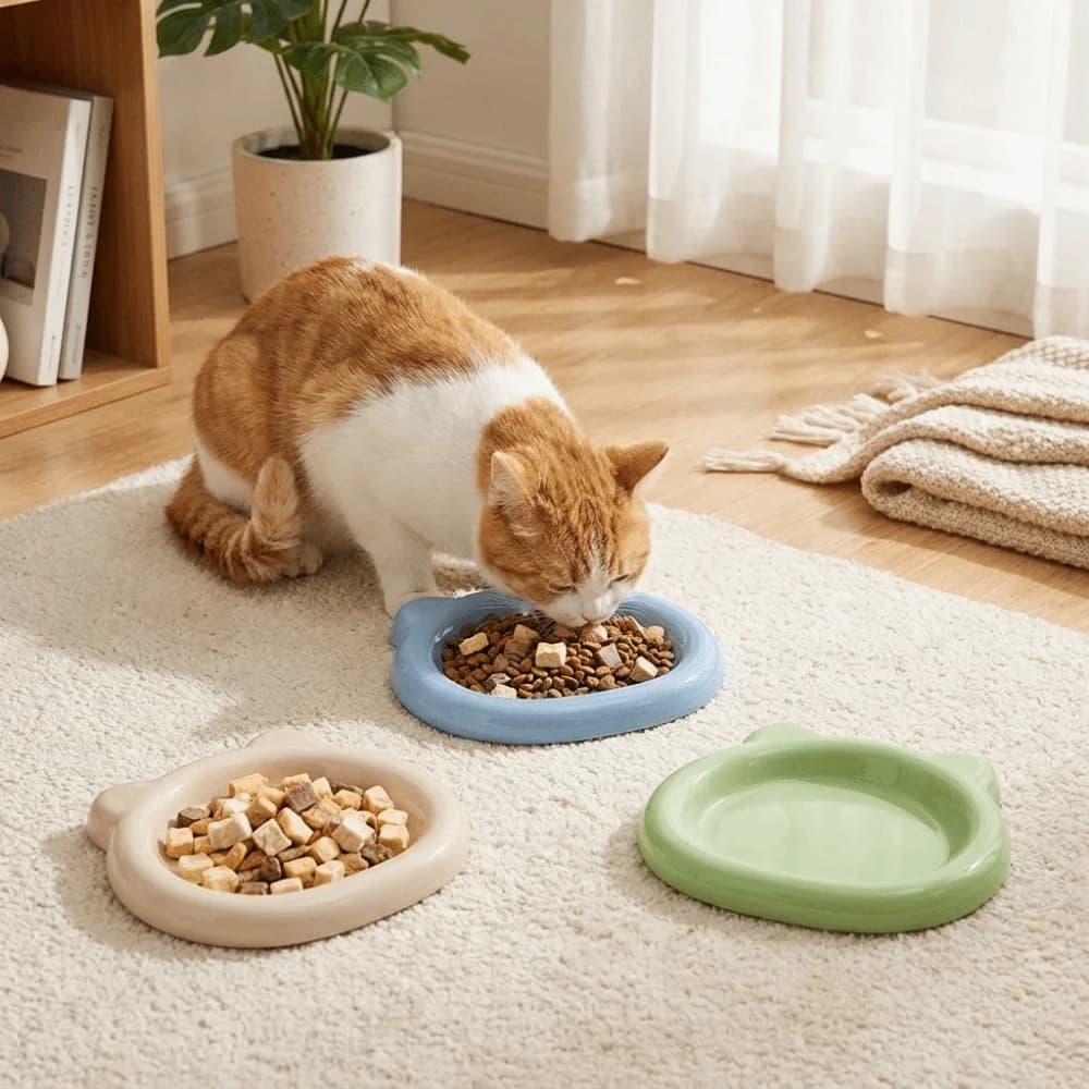 Durable Plastic Bear Shaped Pet Plates Food Grade Unbreakable Cat Food Plates Colorful Cute Kitten Bowl for Pet Meals