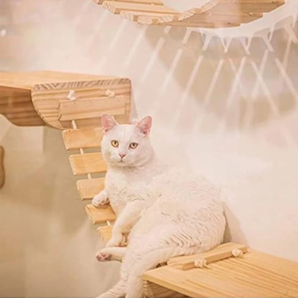 Combinazione di tipo parete per arrampicata per gatti Scale per gatti a quattro gradini in sisal Faccia per gatti Nuovo pedale Tiragraffi per gatti in legno massello Mobili per animali domestici