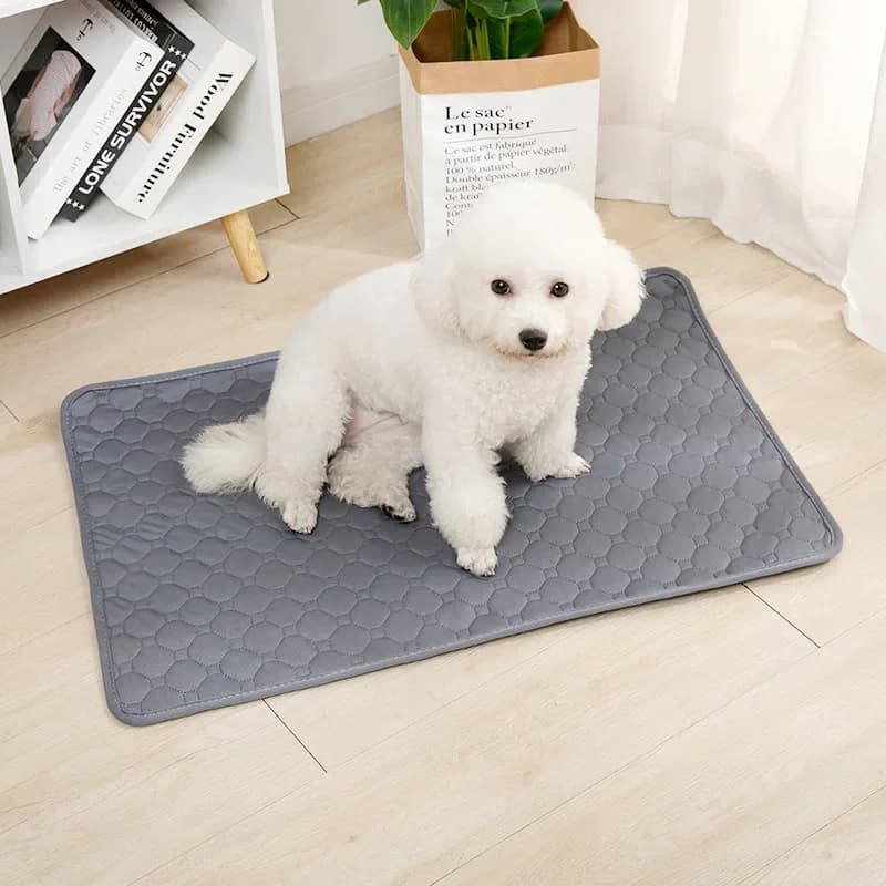 Tappetino Assorbente Riutilizzabile per Cani, Lavabile, per Addestramento Cuccioli, Coprisedile Auto per Animali Domestici